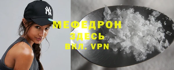 индика Абаза