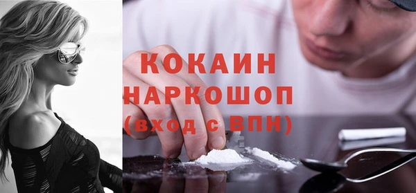 индика Абаза