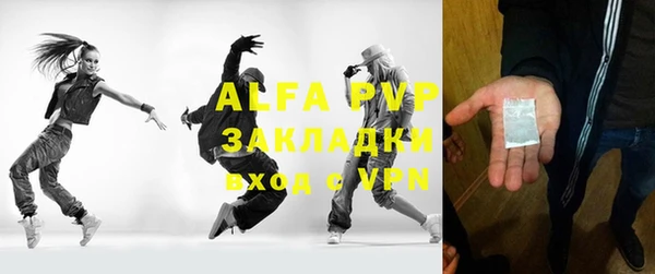 индика Абаза