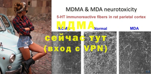 индика Абаза