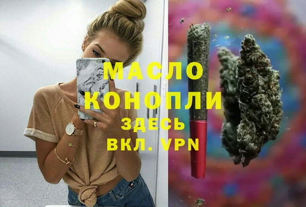 индика Абаза