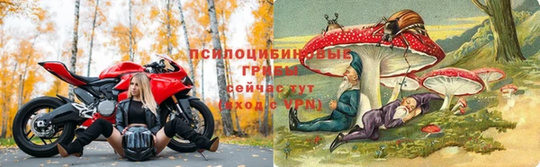 индика Абаза
