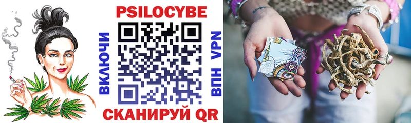 Галлюциногенные грибы мицелий  Николаевск-на-Амуре 